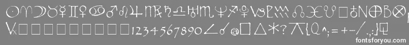 フォントWidget – 灰色の背景に白い文字