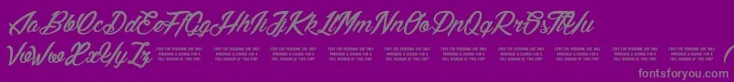 LilyOfTheValley Font – Gray Fonts on Purple Background
