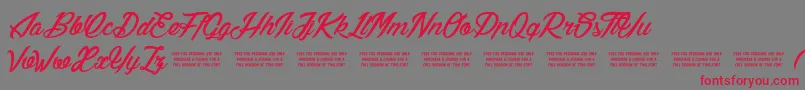 LilyOfTheValley Font – Red Fonts on Gray Background