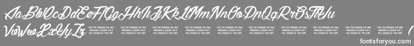 LilyOfTheValley Font – White Fonts on Gray Background