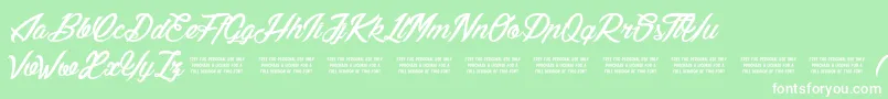 LilyOfTheValley Font – White Fonts on Green Background
