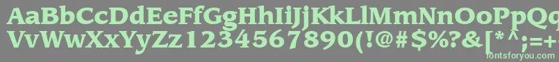 AdvisorBlackSsiBlack Font – Green Fonts on Gray Background