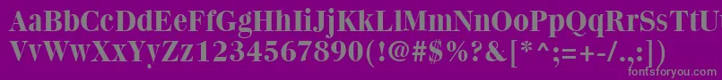 QuantasBold Font – Gray Fonts on Purple Background