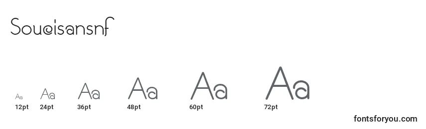 Размеры шрифта Soucisansnf