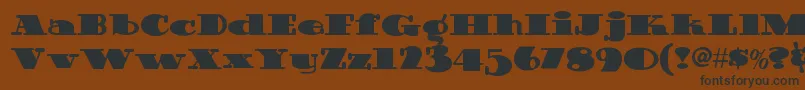 Guinnessextrastoutnf Font – Black Fonts on Brown Background