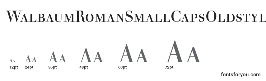Размеры шрифта WalbaumRomanSmallCapsOldstyleFigures