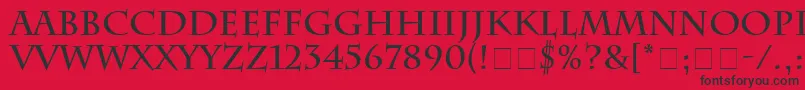 フォントSenatusSsiBold – 赤い背景に黒い文字