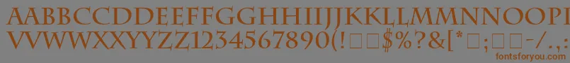 Шрифт SenatusSsiBold – коричневые шрифты на сером фоне