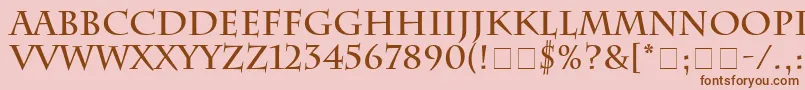 SenatusSsiBold Font – Brown Fonts on Pink Background
