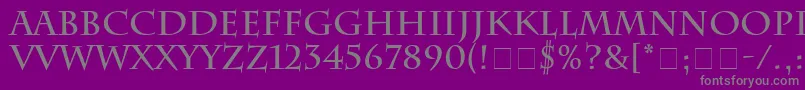 Police SenatusSsiBold – polices grises sur fond violet