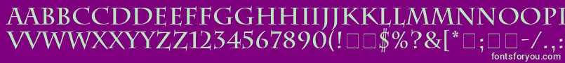 SenatusSsiBold Font – Green Fonts on Purple Background