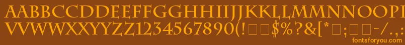 SenatusSsiBold Font – Orange Fonts on Brown Background