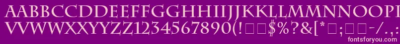 SenatusSsiBold Font – Pink Fonts on Purple Background