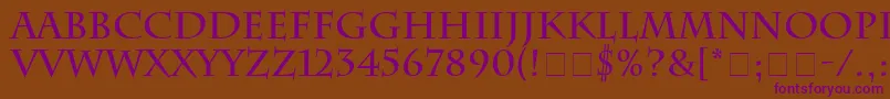 SenatusSsiBold Font – Purple Fonts on Brown Background