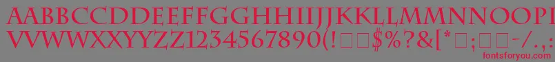 フォントSenatusSsiBold – 赤い文字の灰色の背景