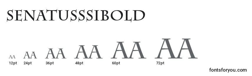 Размеры шрифта SenatusSsiBold