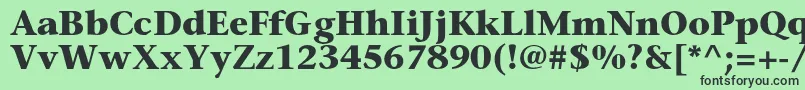 フォントSonetserifcBold – 緑の背景に黒い文字