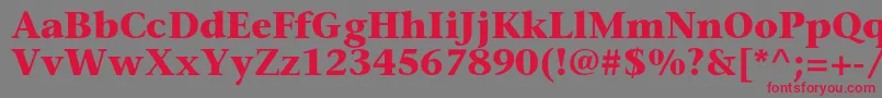 SonetserifcBold Font – Red Fonts on Gray Background