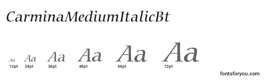 CarminaMediumItalicBt Font Sizes