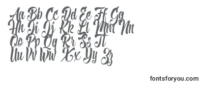 ShaveTheWhalesPersonalUse Font