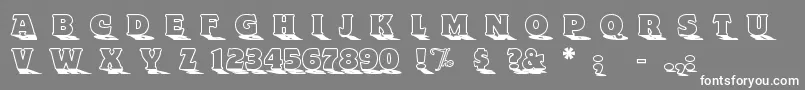 フォントToyland ffy – 灰色の背景に白い文字