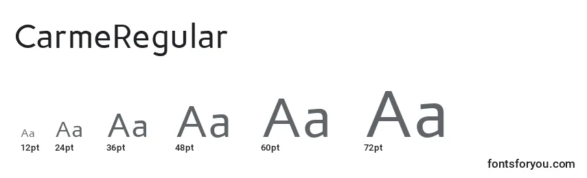 CarmeRegular (110978) Font Sizes