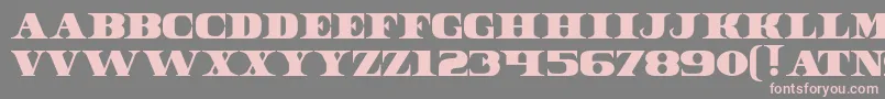 DollarBill Font – Pink Fonts on Gray Background