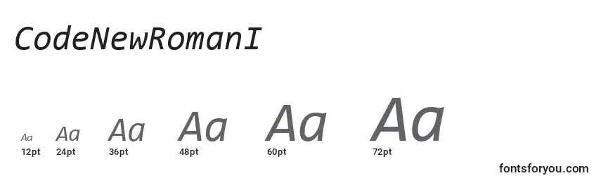 CodeNewRomanI Font Sizes