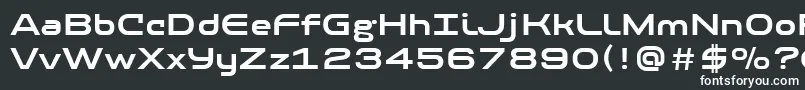 PfbaselineproBold Font – White Fonts on Black Background
