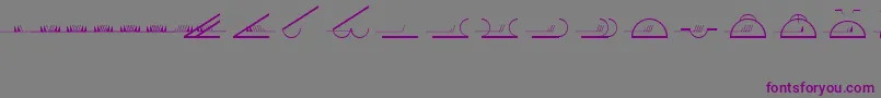 フォントEsriMeteorological01 – 紫色のフォント、灰色の背景