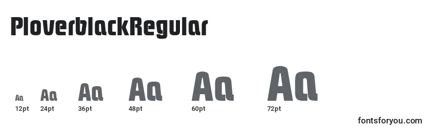PloverblackRegular Font Sizes