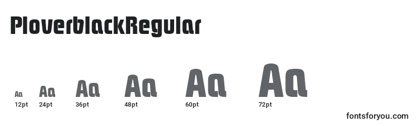 Rozmiary czcionki PloverblackRegular