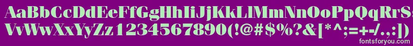 FenicestdUltra Font – Green Fonts on Purple Background