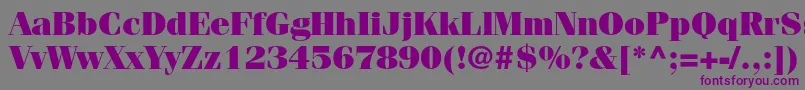 FenicestdUltra Font – Purple Fonts on Gray Background