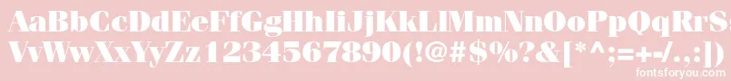 FenicestdUltra Font – White Fonts on Pink Background