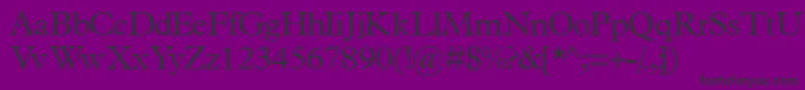 フォントTerminuslightssk – 紫の背景に黒い文字