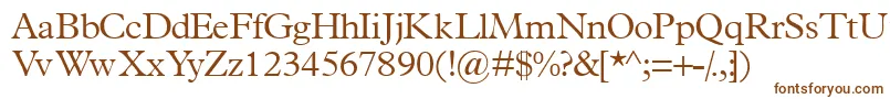 Terminuslightssk Font – Brown Fonts on White Background