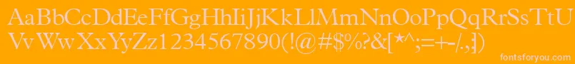 Terminuslightssk Font – Pink Fonts on Orange Background