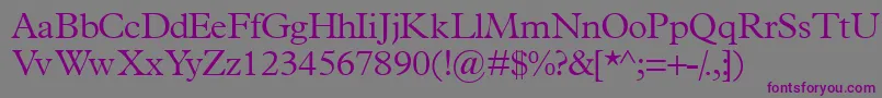 Terminuslightssk Font – Purple Fonts on Gray Background