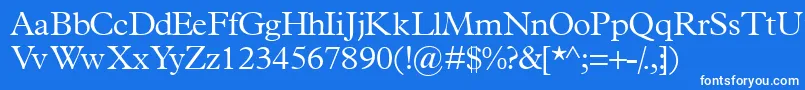 Terminuslightssk Font – White Fonts on Blue Background