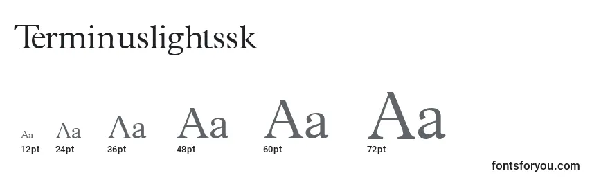 Размеры шрифта Terminuslightssk