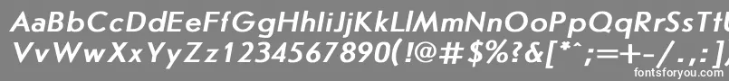 JournalsansBoldItalic-fontti – valkoiset fontit harmaalla taustalla