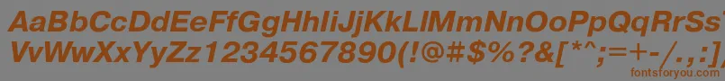 Шрифт PragmaticacBoldoblique – коричневые шрифты на сером фоне