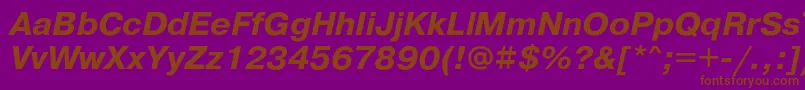 PragmaticacBoldoblique Font – Brown Fonts on Purple Background