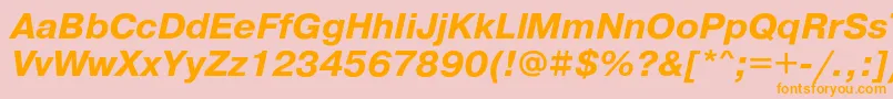 PragmaticacBoldoblique Font – Orange Fonts on Pink Background