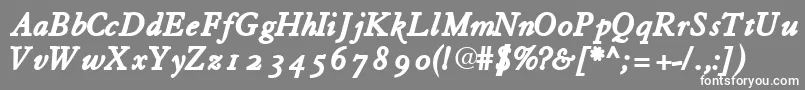 フォントTiascoossskBoldItalic – 灰色の背景に白い文字