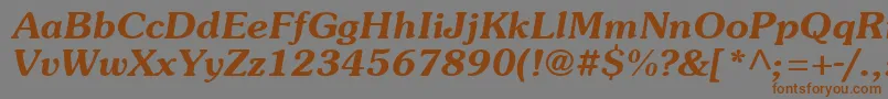 SouvienneBoldItalic Font – Brown Fonts on Gray Background
