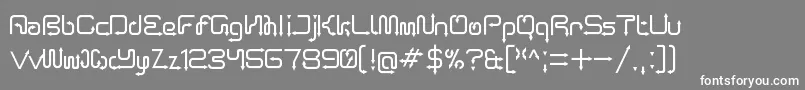 ArroTerminalRegular Font – White Fonts on Gray Background