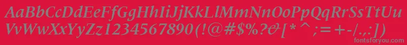 Latin725BoldItalicBt Font – Gray Fonts on Red Background