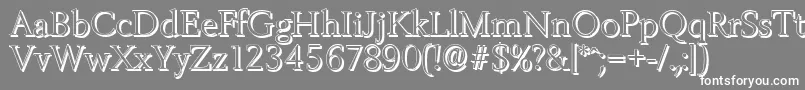 BelfastshadowLightRegular Font – White Fonts on Gray Background